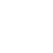 Publication Fees